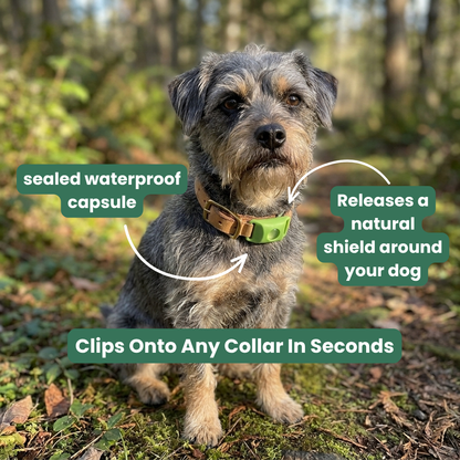 Natural Flea & Tick Pendant