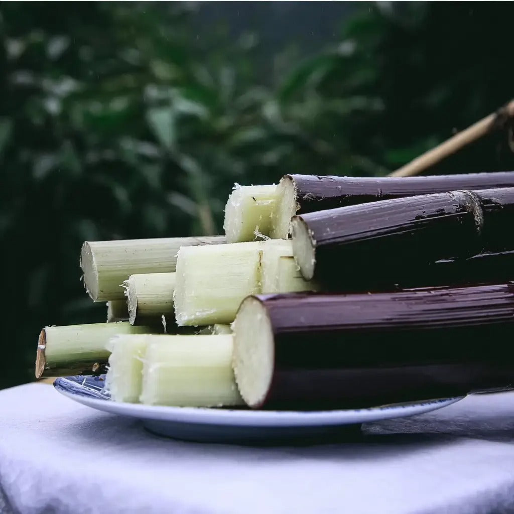 Premium High-Sucrose Sugarcane Seeds | 1000+ Non-GMO Hybrid Sugar Cane Seeds for Home Gardening 🌿🍬