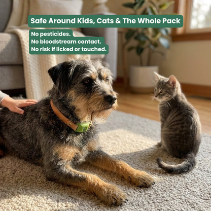 Natural Flea & Tick Pendant