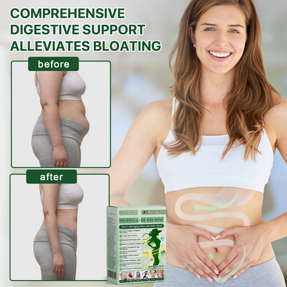 silvlifelab Moringa Berberine + 10-in-1 Nano Microneedle Patch(Just once a day, visible changes in 7 days)