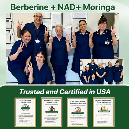 silvlifelab Moringa Berberine + 10-in-1 Nano Microneedle Patch(Just once a day, visible changes in 7 days)